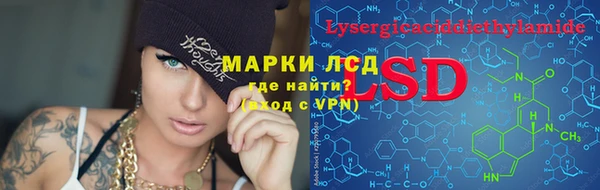 гидра Арсеньев
