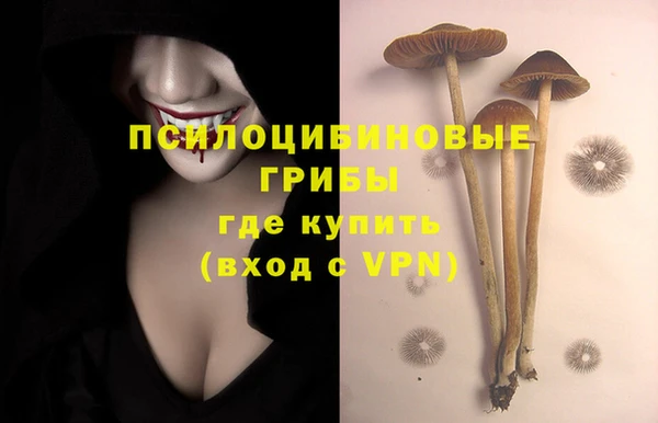 ешки Армянск